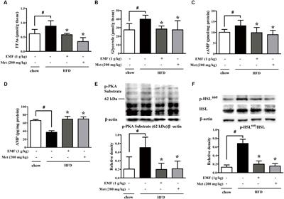 Er-Miao-Fang Extracts Inhibits Adipose Lipolysis and Reduces Hepatic Gluconeogenesis via Suppression of Inflammation